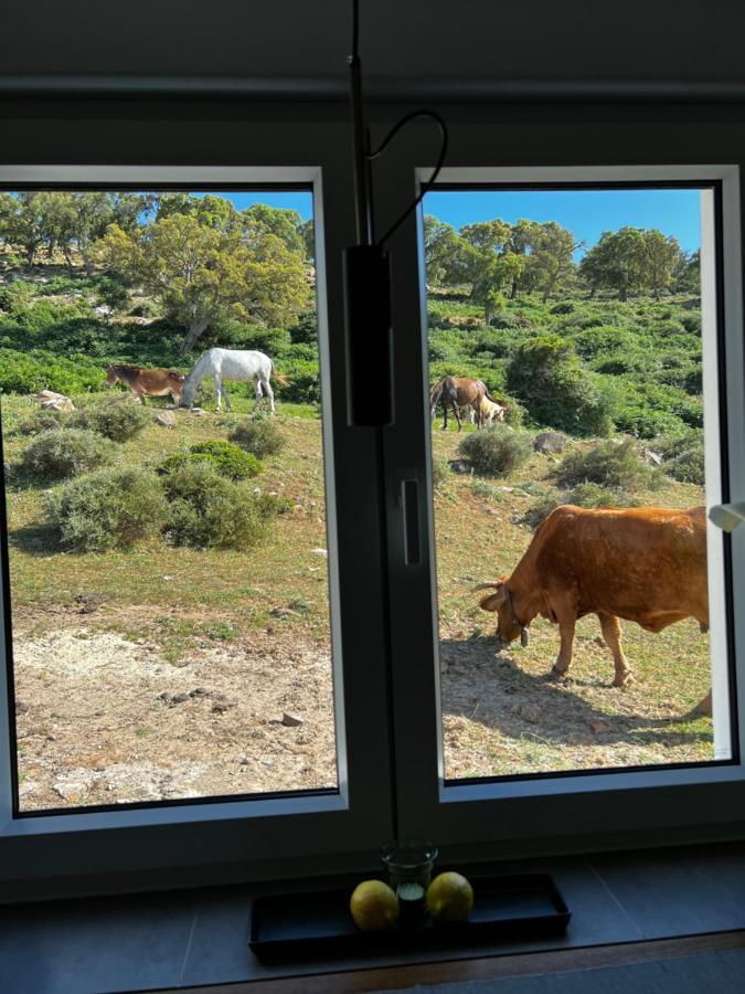 Cortijo Las Cabrerizas Facinas Zewnętrze zdjęcie